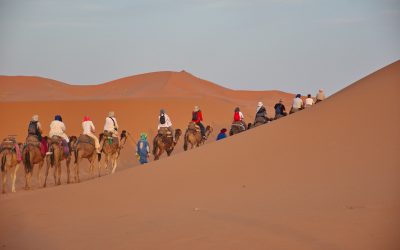 4-Day Tour from Fes to Marrakech—an Unforgettable Experience