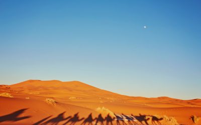 An Unmatched Desert Tour Marrakech: Explore Morocco’s Sahara With Guided Adventures and Unique Experiences